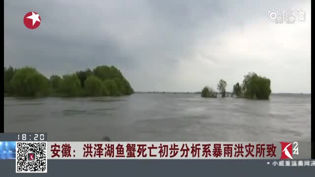 古巴死亡人口_古巴比伦空中花园