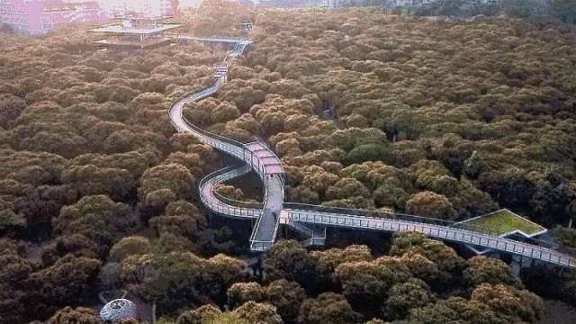 在深圳15个最适合一日游的景点…人少、景美、还免费！