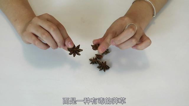 八角别乱买,假八角太多,来看看如何挑选好八角