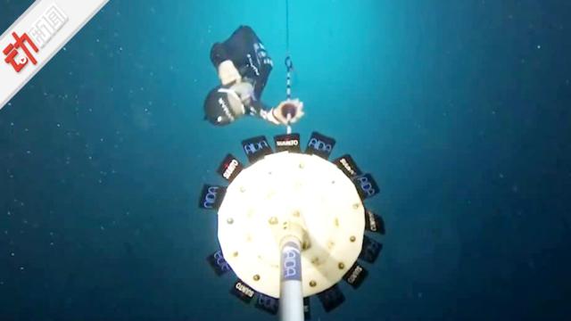 意大利女潜水员屏息超过三分半钟 下潜107米破纪录