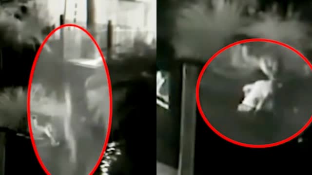 墨尔本市区男子持刀伤人 至少1人死亡|时事|墨