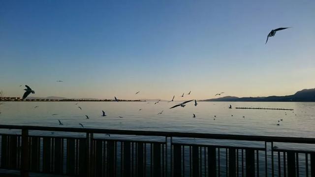 云南小众旅行地,最适合现在去打卡