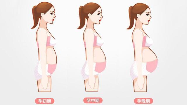 孕妇从这个月起肚子蹭蹭变大,不光是吃得多,还有这3个原因