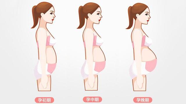 孕妇从这个月起肚子蹭蹭变大,不光是吃得多,还有这3个