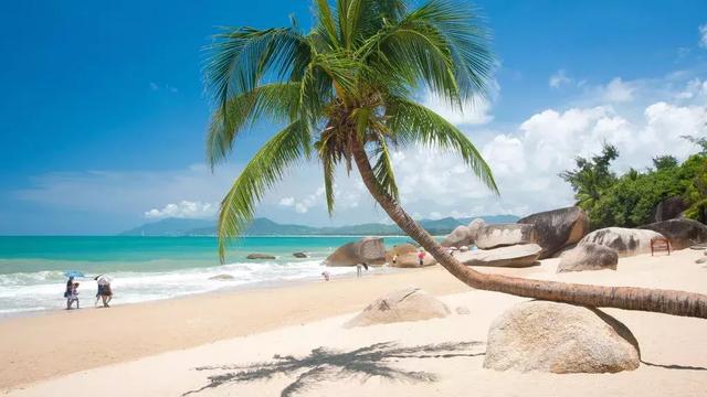 三亚，北纬18℃的蔚蓝，总能将冬天过成夏天！