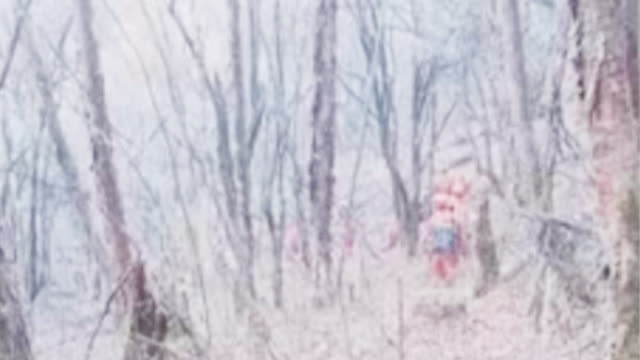 视频拍下灭火英雄逆行最后背影 山火为何瞬间爆燃