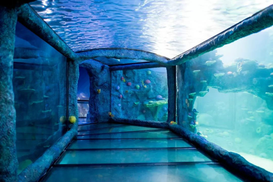 悉尼海洋生物水族馆推出全新会议场地