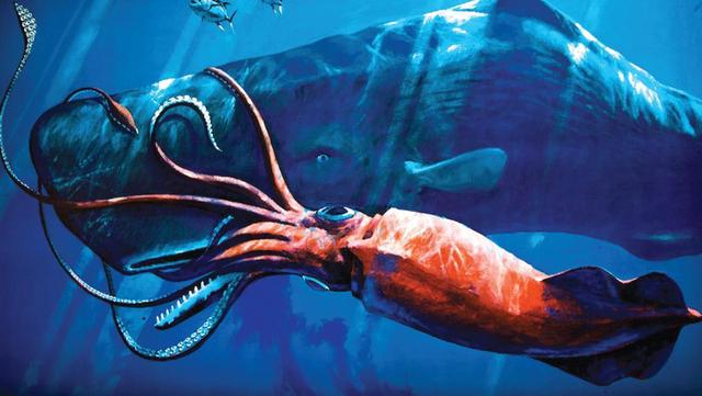 某种海洋生物体长80米，以抹香鲸为食，难道它就是“北海巨妖”？
