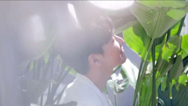 赵又廷曾拒绝演夜华,杨天真称其对演电视剧没