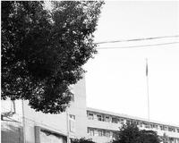 浙江1民办学校花两三百万年薪抢竞赛教练 年薪