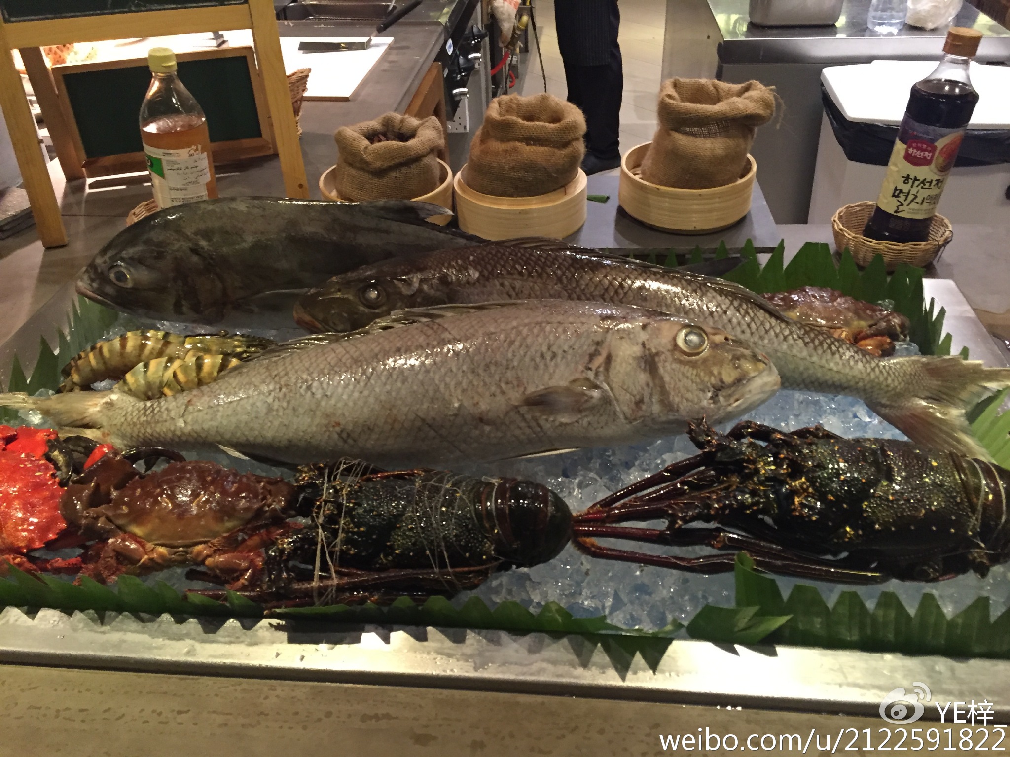 马尔代夫 阿玛瑞岛马代最南部环礁