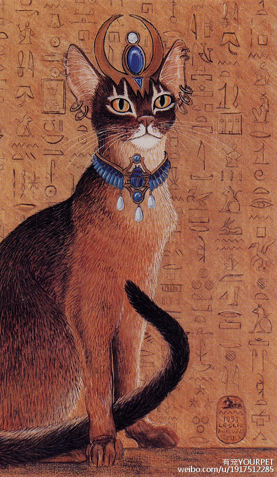 古国埃及--骆驼是精神,猫是信仰