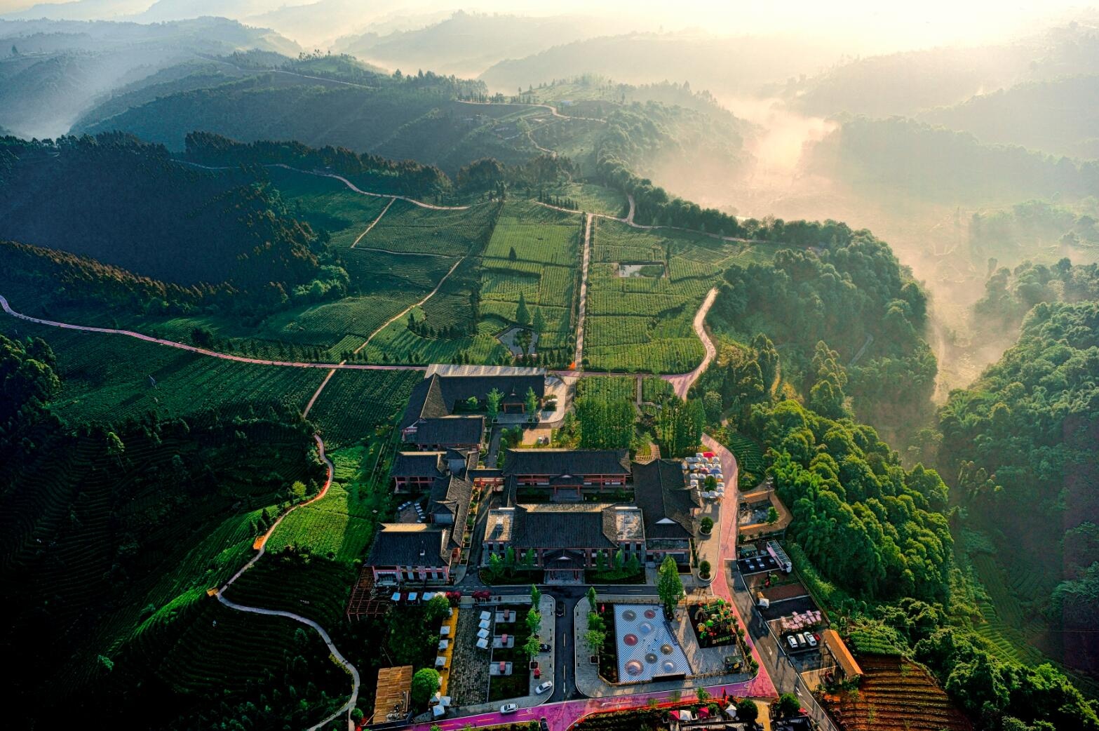 雅安蒙阳有多少人口_雅安地图(2)