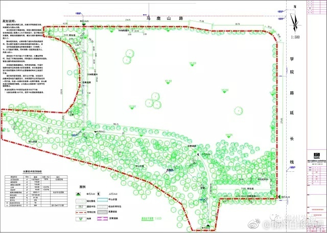 柳州马鹿山公园要建全市最大月季花坡