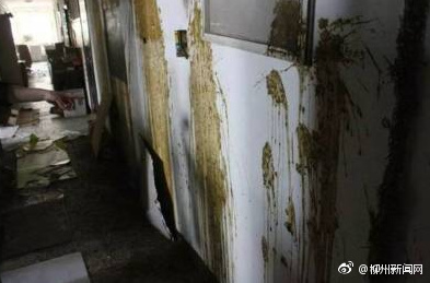 网络图片
