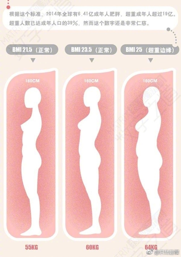 中国肥胖人口比例_中国城市人口 分布(3)