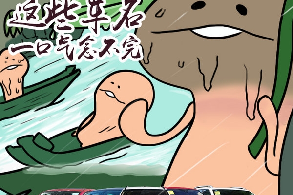 这么长你还不满足吗？ 这些车名一口气念不完