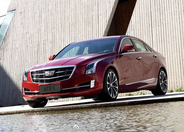 网友问:30w左右的车子,是选择“鸡头”还是“凤尾”?