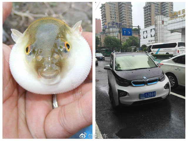 天上下着小雨,这宝马敞篷车真个性,披着块破塑料纸就上路了