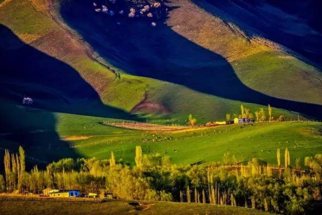 老罗邀您一起西藏自驾游