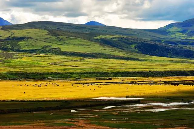老罗邀您一起西藏自驾游
