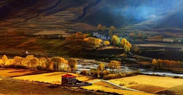 老罗邀您一起西藏自驾游