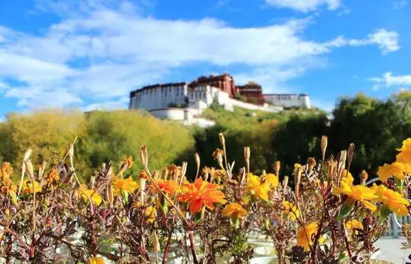 老罗邀您一起西藏自驾游