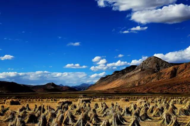 老罗邀您一起西藏自驾游