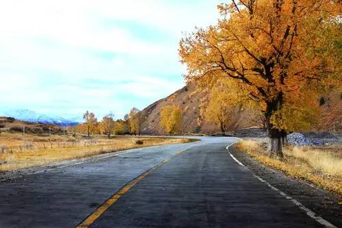 老罗邀您一起西藏自驾游