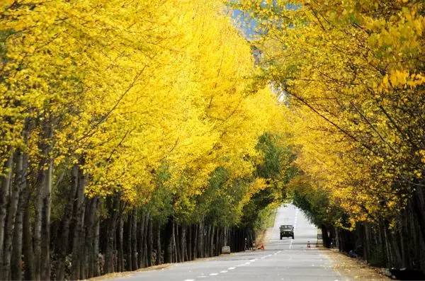 老罗邀您一起西藏自驾游