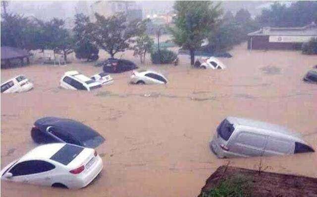 别再用手砸玻璃,汽车落水后这招分分钟出来