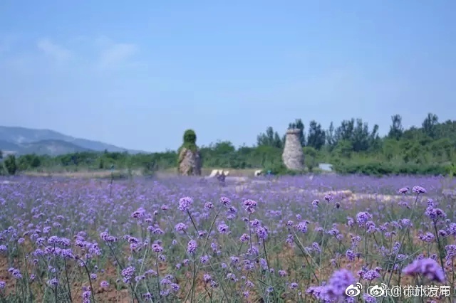 91vs-乐鱼app(leyu)官方网站-乐鱼官网