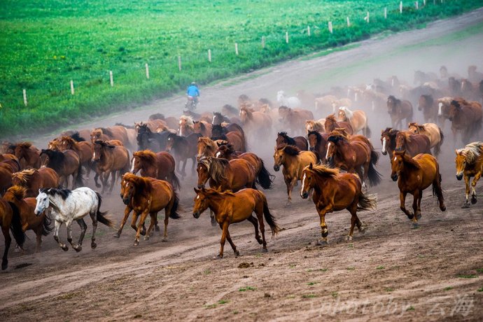 ���հ��ϣ���������