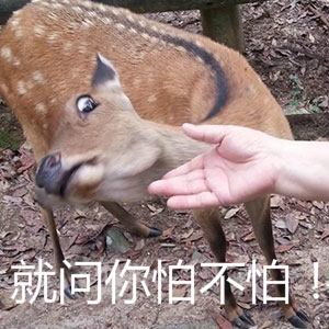 20170630_1498815343897521.jpg t01ab299e58ca8f866b.jpg