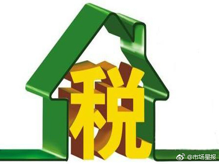 收入支出明细表模板_核定征收收入明细表
