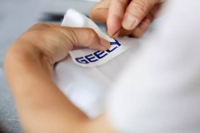 “从红色精神”到“千年大计”,远景SUV以车轮丈量时代足迹