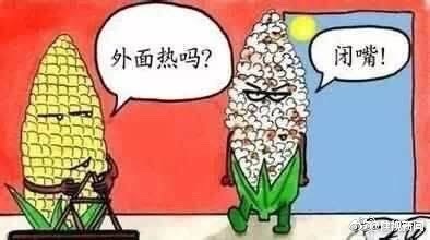 今天又要热炸了 西安多地温度将升至40℃以上