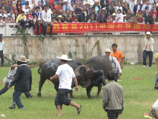 比赛现场 比赛现场