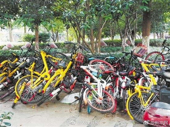 共享单车首遭抵制 北京多条胡同禁行 你怎么看