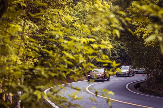 大众蔚领用“文艺”穿越了大半个中国