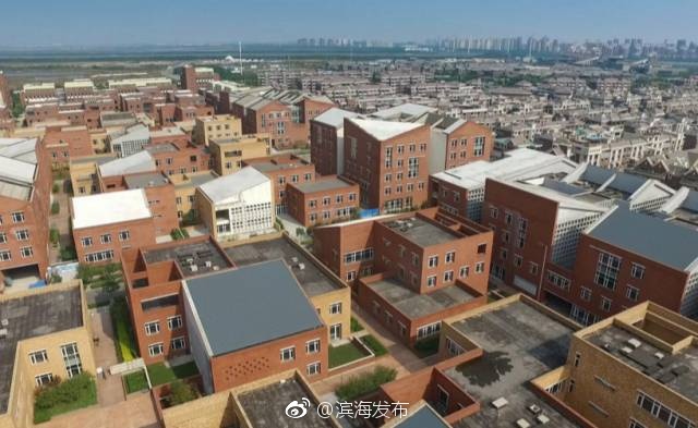 滨海新区哪个街镇收入最多 18个街镇中12个正