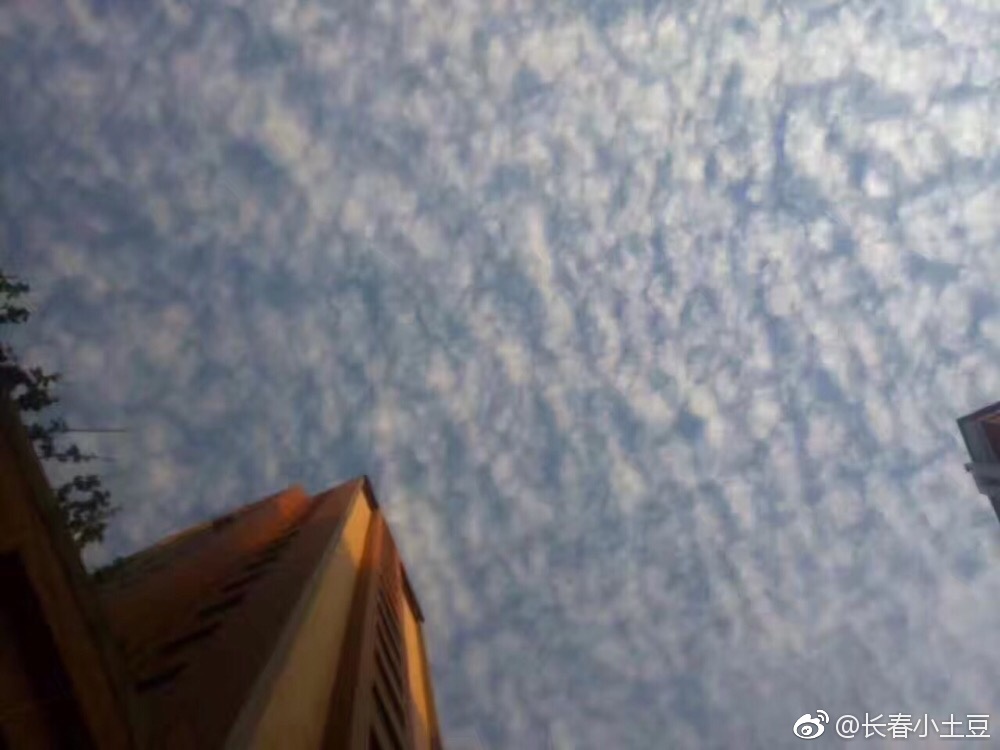 为啥松原总地震?因为处于剡庐地震带