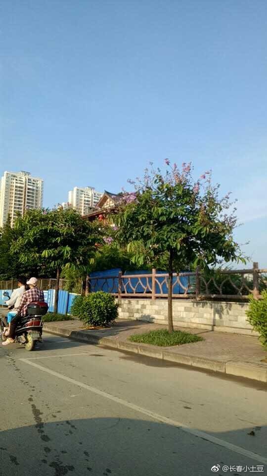 为啥松原总地震?因为处于剡庐地震带