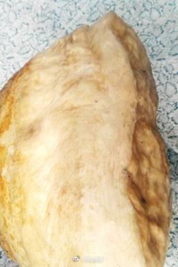 容城老汉河边捡回太岁 水里泡4年长16斤