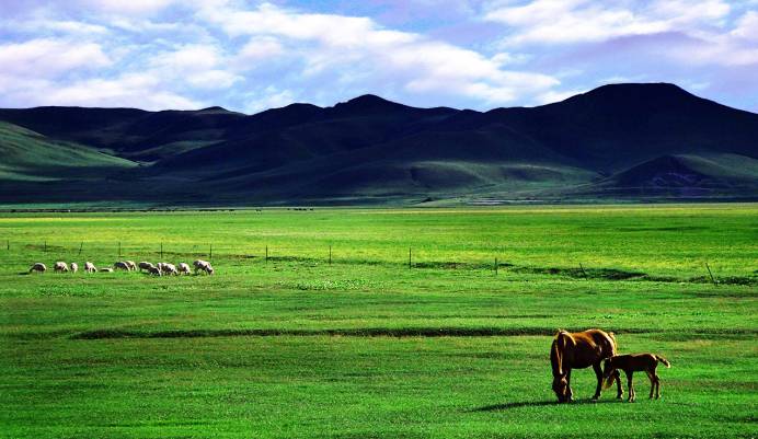 与速腾邂逅在呼伦贝尔 真的不要低估1.2T小排量了