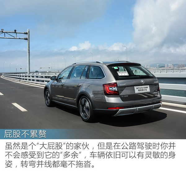 让你的瓦罐梦触手可及 试斯柯达明锐旅行版-图5