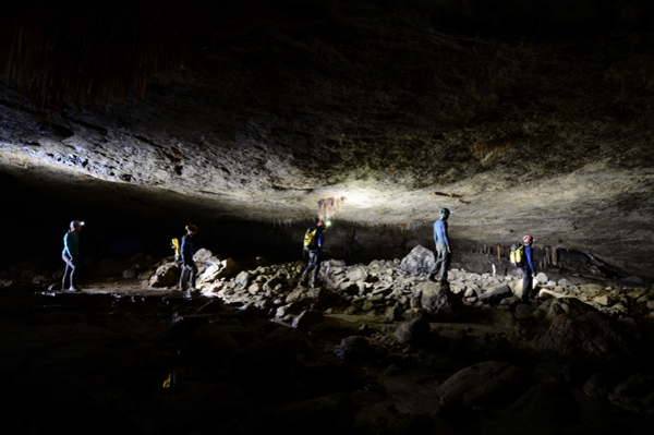 细分市场悄然生变，SUV都已不再保险？ | 半年车市简评