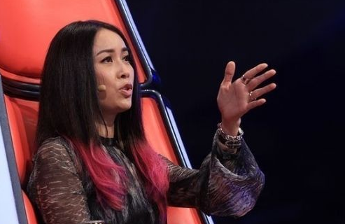 偶像遭恶意造谣中伤 那英粉丝制作视频澄清谣言