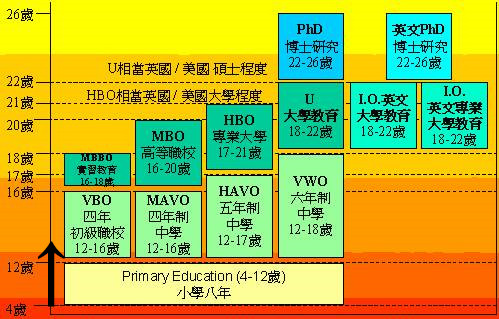 图片来自网络