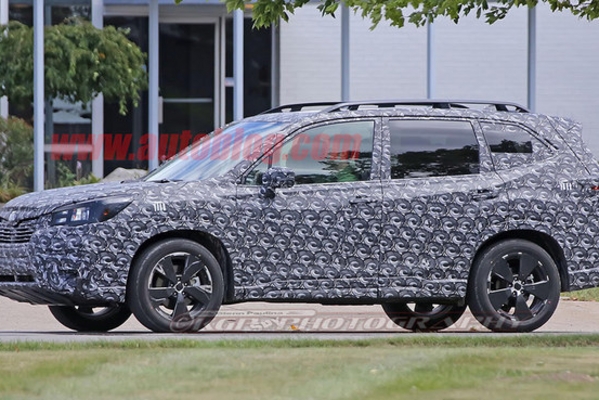 斯巴鲁全新森林人谍照曝光 或年底亮相